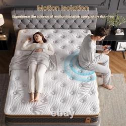 3ft Single Memory Foam & Pocket Spring Hybrid Mattress 90x190x31cm Medium Firm