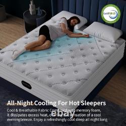 5FT King Mattress, 11 Inch 7-Zone Pocket Sprung Mattress with Memory Foam and So