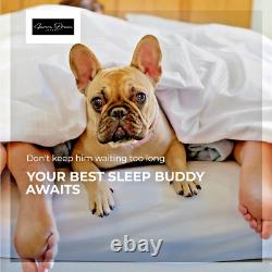 Aurora Dream Single Hybrid Mattress 3ft Blue Border Luxury Memory Foam Pocket Sp
