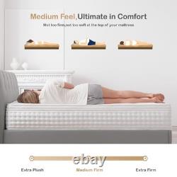 Double Mattress, 10.2 INCH Hybrid Memory Foam and Individually Pocket
