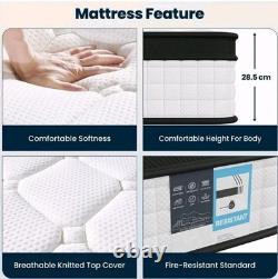 Double Mattress Double Memory Foam Mattress Pocket Airv MeshVacuum Packed