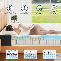 ELEMUSE Double Mattress 10.6 inch, Memory Foam Pocket Sprung Mattress 4FT6, Firm