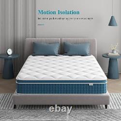 Memory Foam Mattress Sprung 3ft Single 4ft6 Double 5ft King 6ft S King 2 Color