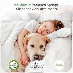 Novilla Gel Memory Foam Pocket Sprung Mattress, 7 Inch Single Mattress