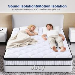 Single Mattress 3FT 9 Inch 9 Zone Orthopedic Mattress with Memory Foam & Pocket