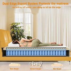 Matelas simple MOLPHIT à ressorts ensachés avec mousse à mémoire de forme, 10 pouces de profondeur